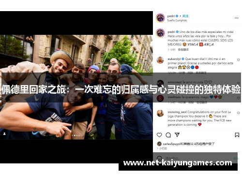 佩德里回家之旅：一次难忘的归属感与心灵碰撞的独特体验