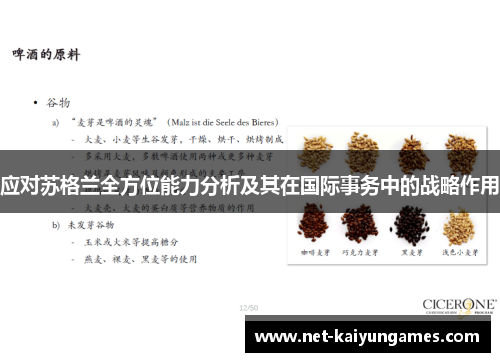 应对苏格兰全方位能力分析及其在国际事务中的战略作用 应对苏格兰全方位能力分析及其在国际事务中的战略作用