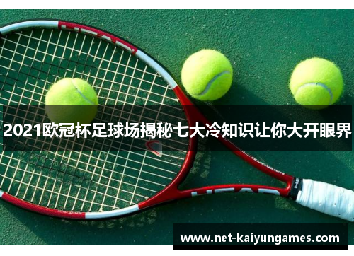 2021欧冠杯足球场揭秘七大冷知识让你大开眼界