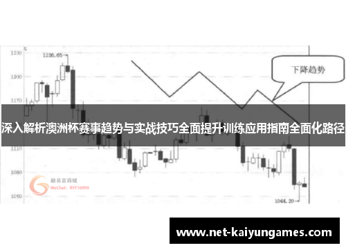 深入解析澳洲杯赛事趋势与实战技巧全面提升训练应用指南全面化路径 深入解析澳洲杯赛事趋势与实战技巧全面提升训练应用指南全面化路径